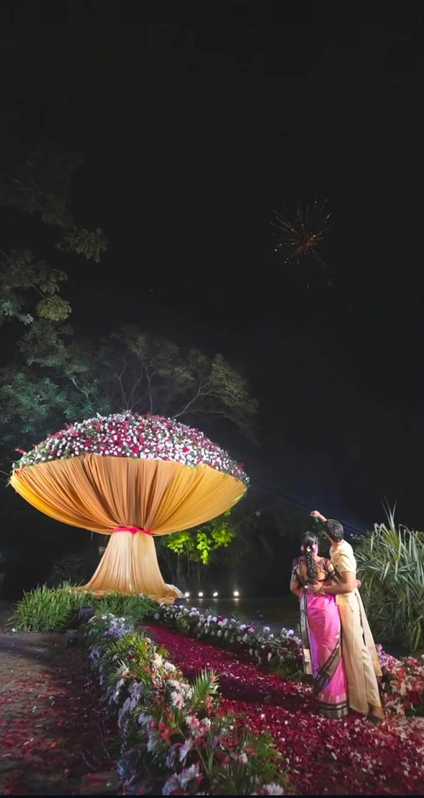 The couple watching fireworks