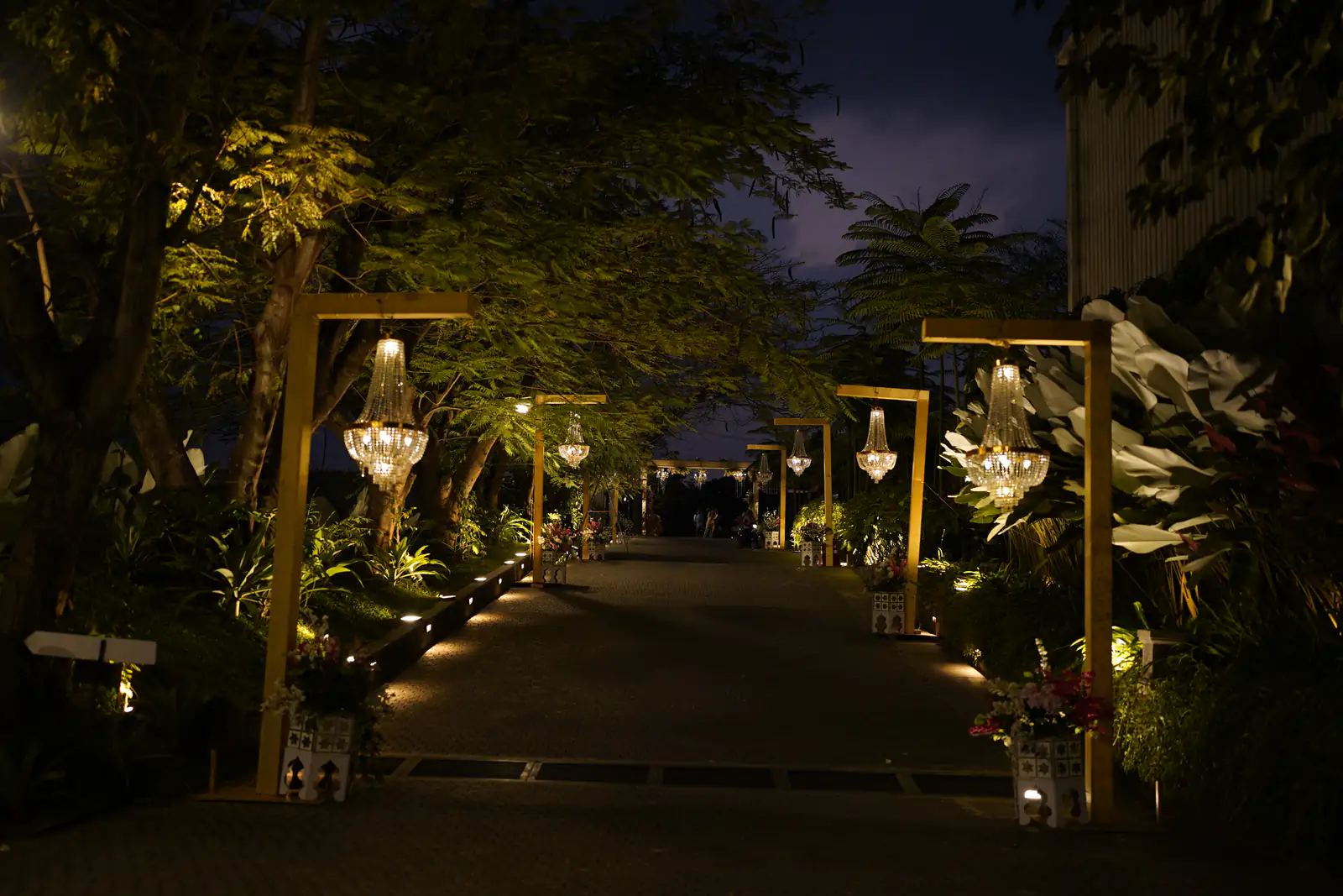 Chandelier pathway at night