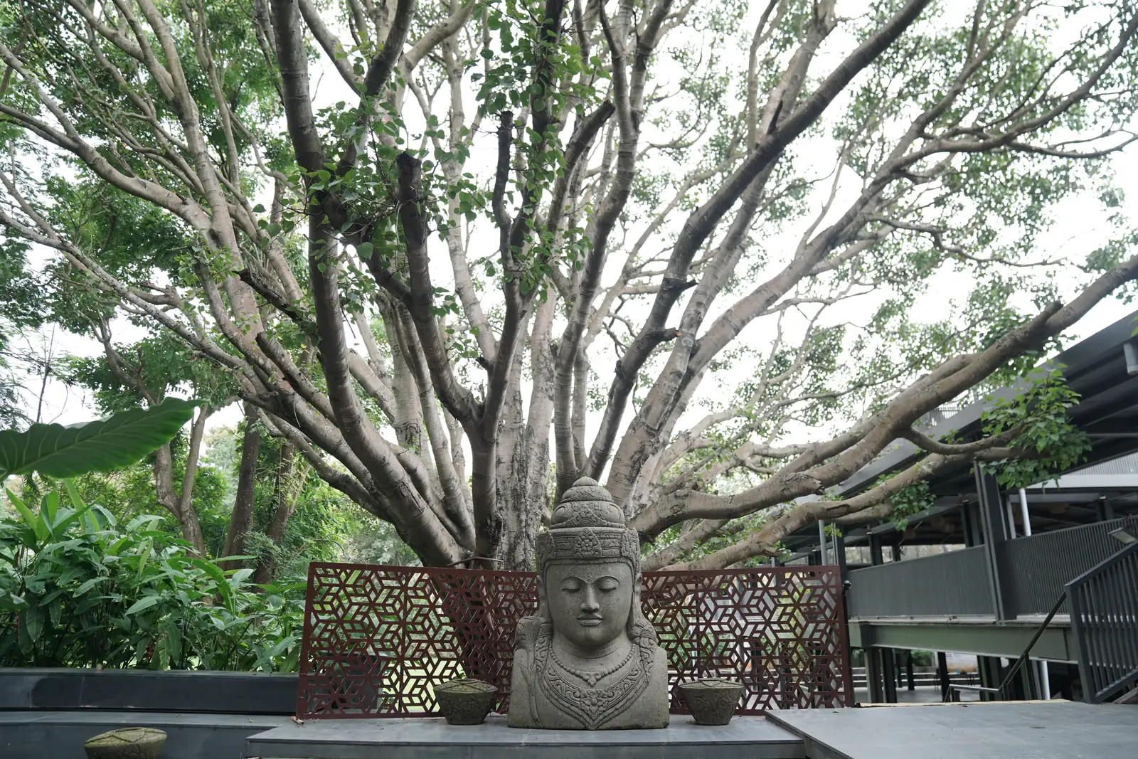 Buddha shrine and tree on the grounds